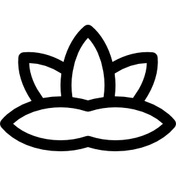lilia wodna ikona