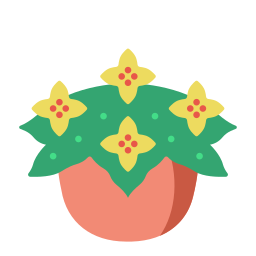 begonia icona