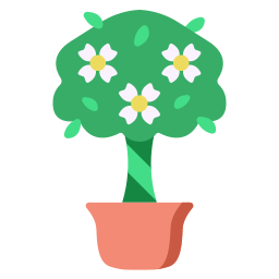 gardenia icona