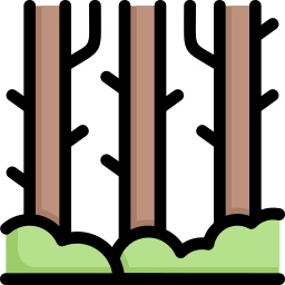 des bois Icône