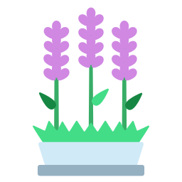 lavendel icoon