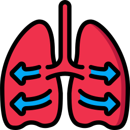 pulmones icono