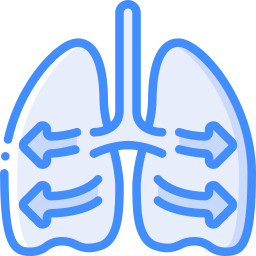 Lungs icon