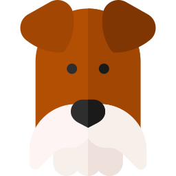 fox terrier Icône