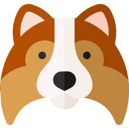 perro pastor de shetland icono