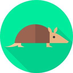 armadillo icona