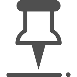 Pin icon