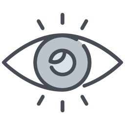 Vision icon