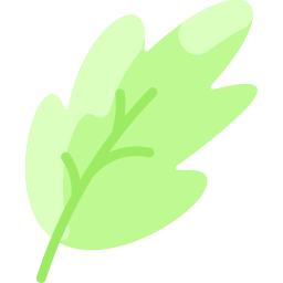 Oak leaf icon