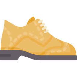 Shoes icon