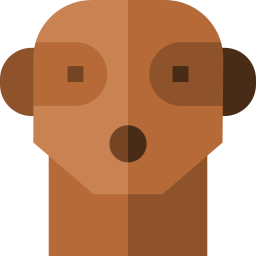 Meerkat icon