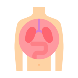 Organs icon