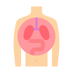 Órgãos Ícone