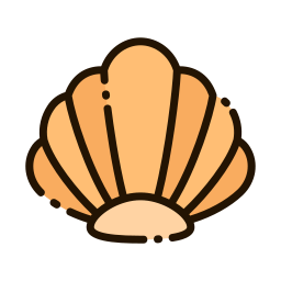 coquille Icône