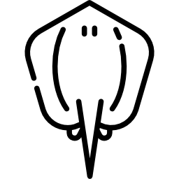 Stingray icon