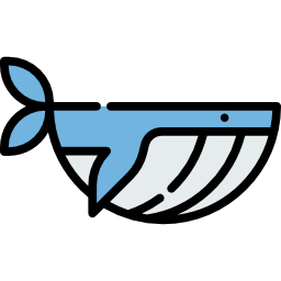 Whale icon