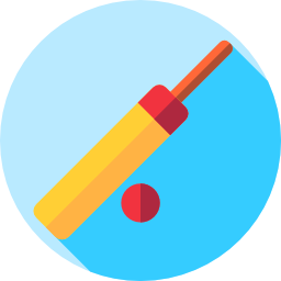 kricket icon