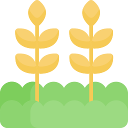 Wheat icon