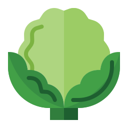 Cauliflower icon