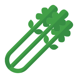 Celery icon