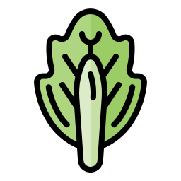 Cabbage icon