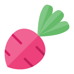 Beetroot icon