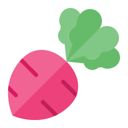 Beetroot icon