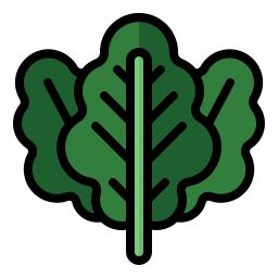 Kale icon