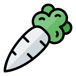 Radish icon