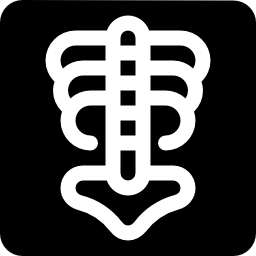röntgenstrahlen icon