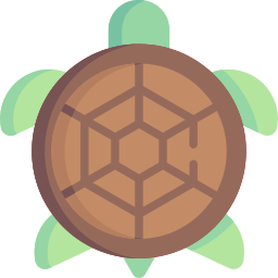 tortuga icono