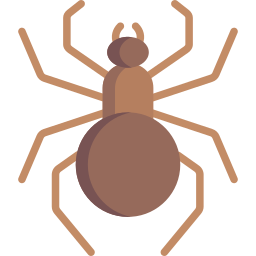 Spider icon