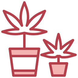 Hydroponic icon