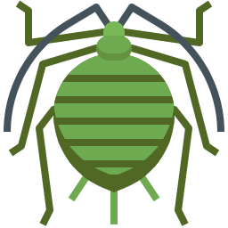 Aphididae icon