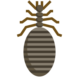 Bug icon