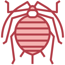 aphididae icono