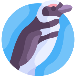 ペンギン icon