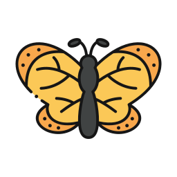 Butterfly icon