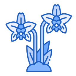 Orchid icon