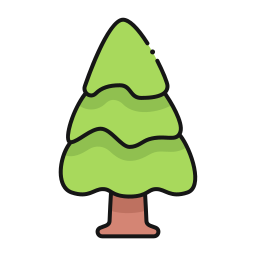 Pine icon