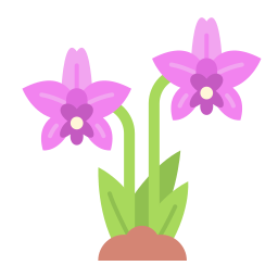 Orchid icon