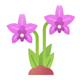 orchidée Icône