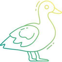 canard Icône