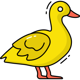 Duck icon