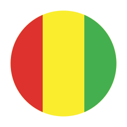 guinea icoon