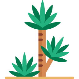 yucca icon