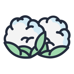 Cauliflower icon