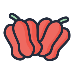 Red pepper icon