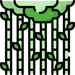 Bamboo icon