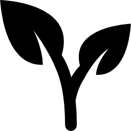 Leaves of a plant icon
